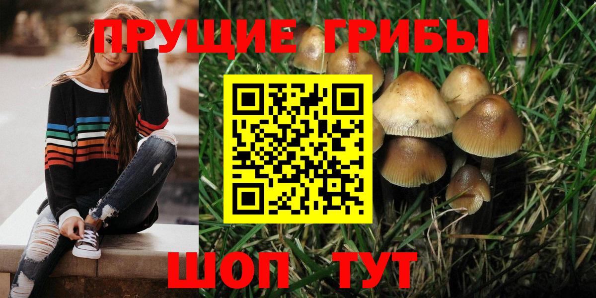 Псилоцибиновые грибы Cubensis Новый Уренгой