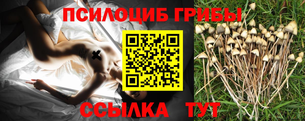 Псилоцибиновые грибы прущие грибы  Вход с VPN  Новый Уренгой 